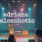 Adriana Calcanhotto stage